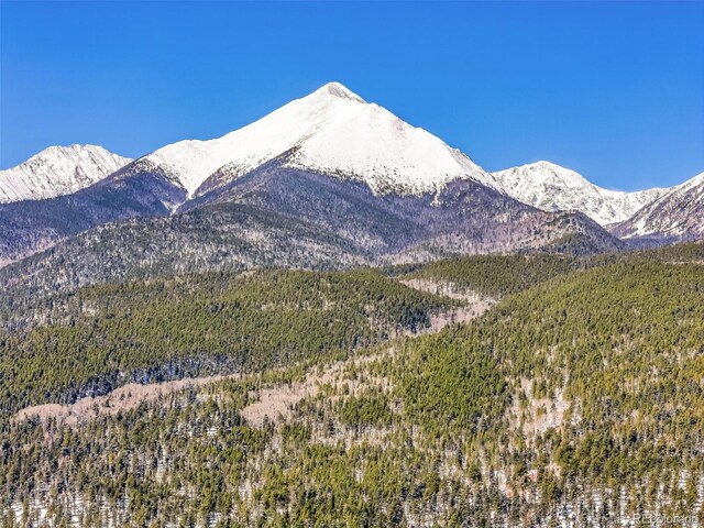 4860 County Road 140, Westcliffe, CO 81252 - mountain view featuring a heavily wooded area