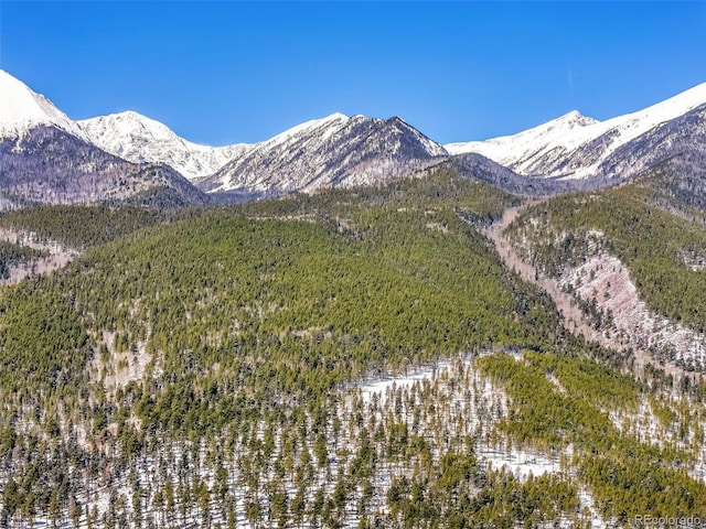 4860 County Road 140, Westcliffe, CO 81252 - view of mountain background with a forest