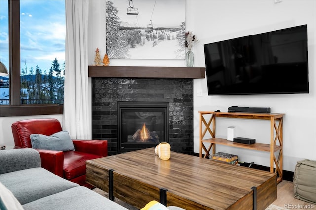 living room featuring hardwood / wood-style floors