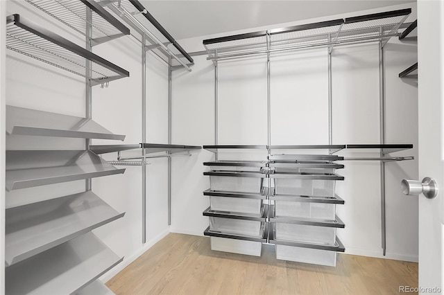 walk in closet with light wood-style floors