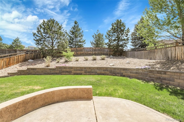 view of yard with a patio area
