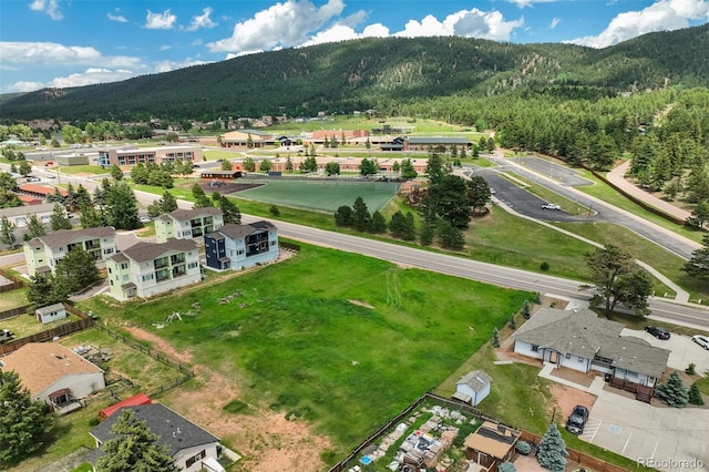 Baldwin St, Woodland Park, CO 80863