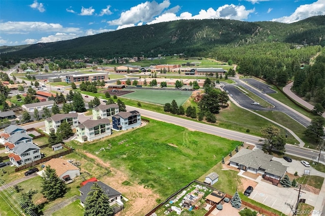 Baldwin St, Woodland Park, CO 80863