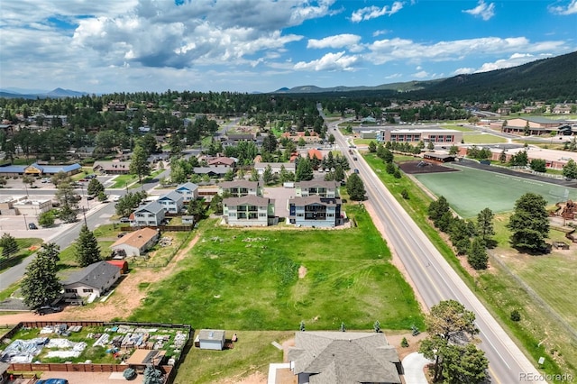 Baldwin St, Woodland Park, CO 80863