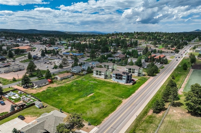 Baldwin St, Woodland Park, CO 80863