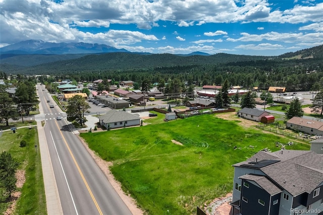 Baldwin St, Woodland Park, CO 80863