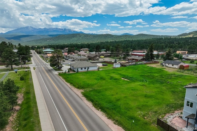Baldwin St, Woodland Park, CO 80863