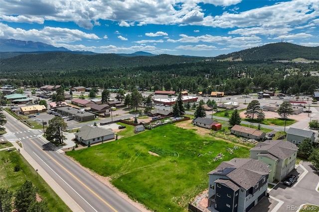 Baldwin St, Woodland Park, CO 80863