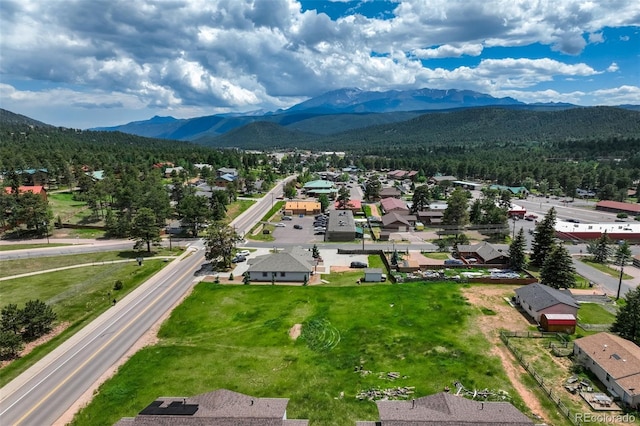 Baldwin St, Woodland Park, CO 80863