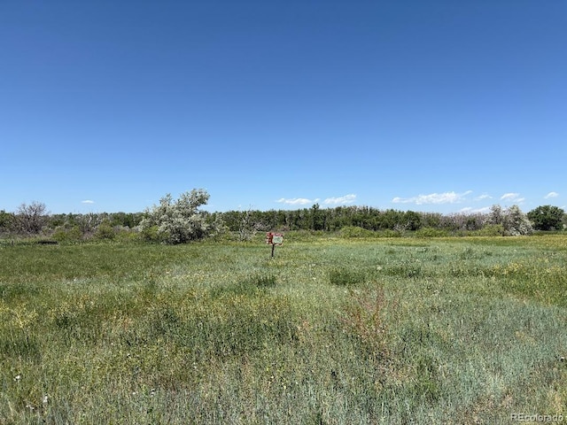 14463 E Wagon Trail Pl, Aurora, CO 80015 - view of local wilderness featuring rural landscape
