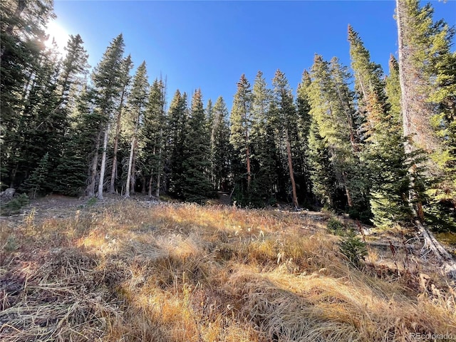 11 Kimmes Ln, Breckenridge, CO 80424 - photo 1