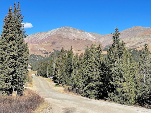 11 Kimmes Ln, Breckenridge, CO 80424 - photo 4