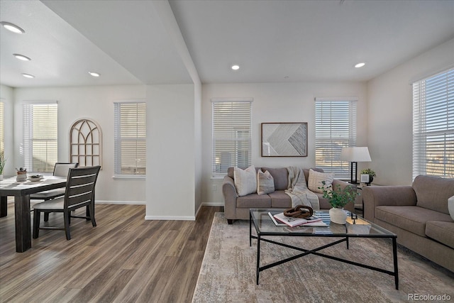 living room featuring a healthy amount of sunlight and hardwood / wood-style flooring