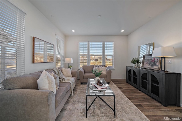 living room with dark hardwood / wood-style flooring