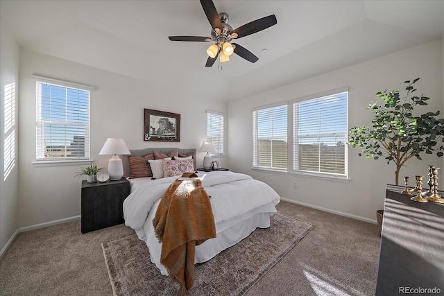 carpeted bedroom with ceiling fan and a tray ceiling