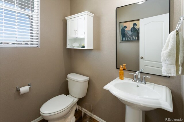 1334 Barberry Trl, Elizabeth, CO 80107 - photo 13
