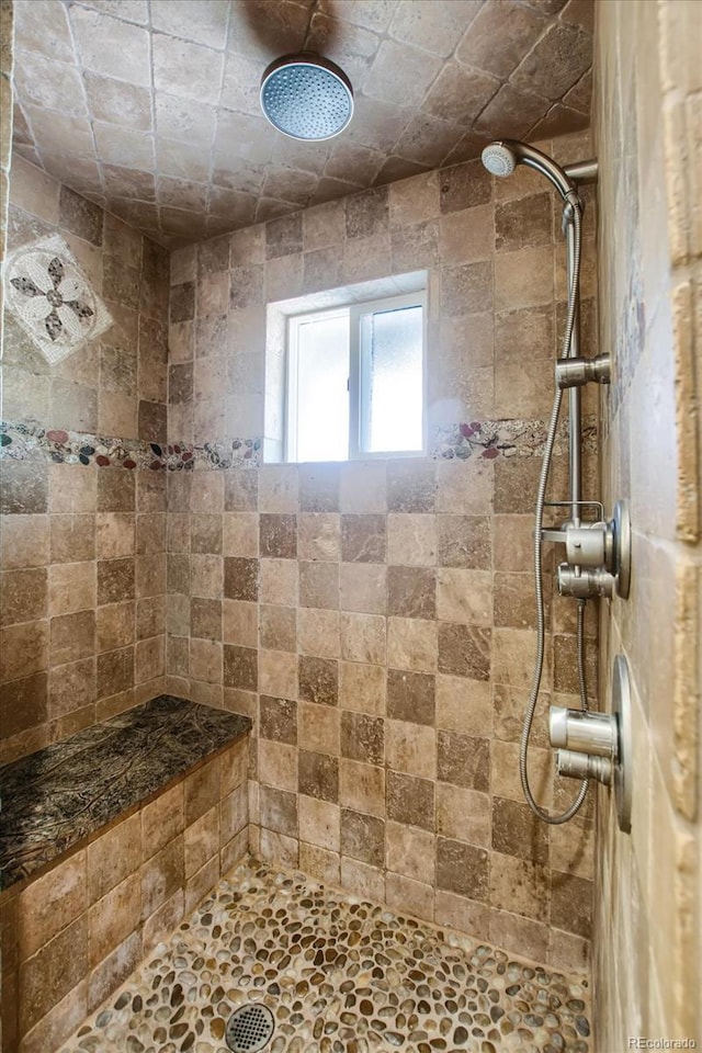 2415 Chase St, Edgewater, CO 80214 - full bathroom with tiled shower