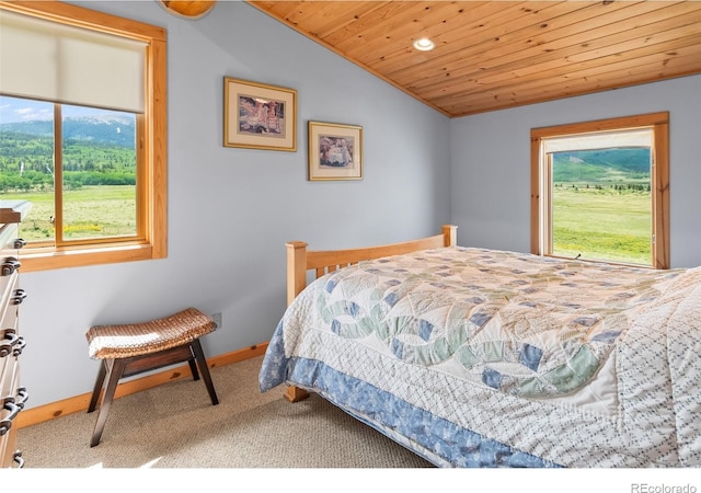 1000 N County Road 33, Como, CO 80432 - carpeted bedroom featuring wood ceiling, multiple windows, lofted ceiling, and recessed lighting