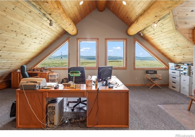 1000 N County Road 33, Como, CO 80432 - carpeted office space with wood ceiling, track lighting, and recessed lighting