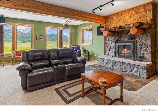 1000 N County Road 33, Como, CO 80432 - living area featuring carpet, a fireplace, and track lighting