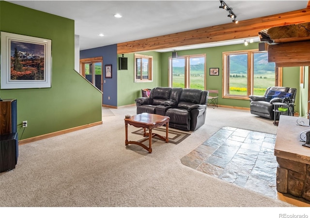 1000 N County Road 33, Como, CO 80432 - carpeted living area with recessed lighting and track lighting