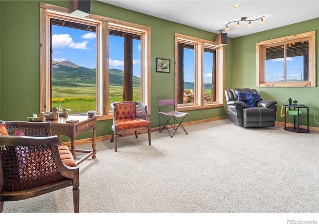 1000 N County Road 33, Como, CO 80432 - sitting room featuring carpet flooring, plenty of natural light, and a mountain view