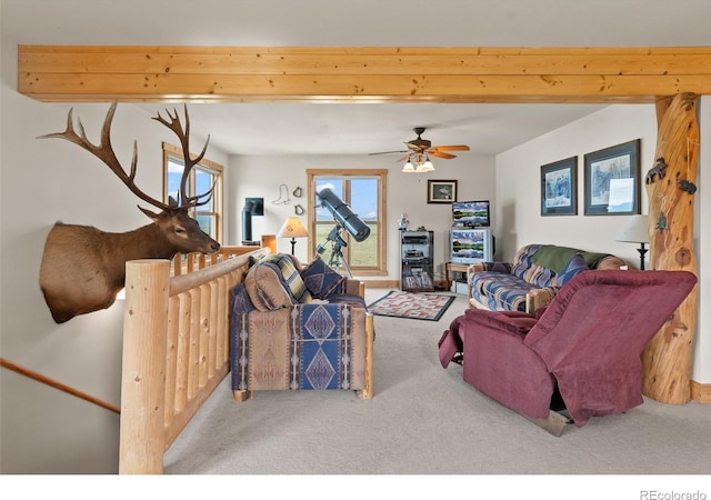 1000 N County Road 33, Como, CO 80432 - living area with carpet floors and ceiling fan