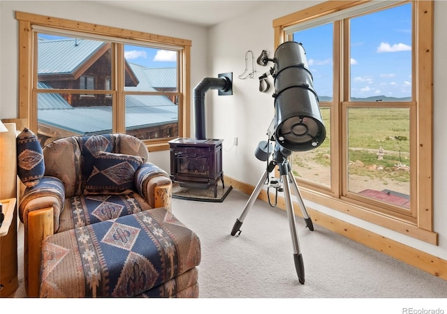 1000 N County Road 33, Como, CO 80432 - exercise area with healthy amount of natural light, a wood stove, and carpet flooring