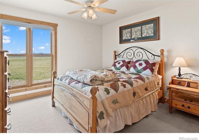 1000 N County Road 33, Como, CO 80432 - bedroom with carpet and ceiling fan