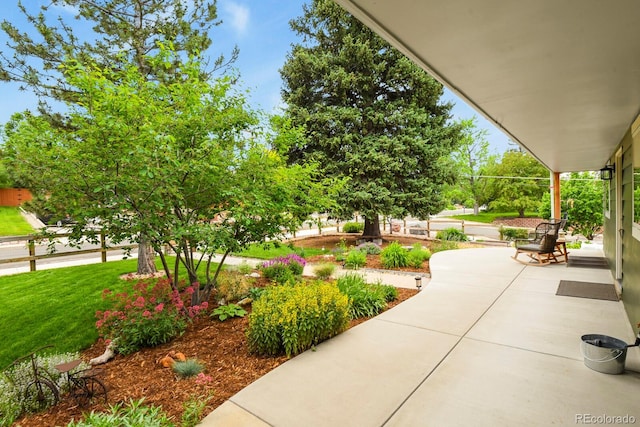 403 Anderson St, Castle Rock, CO 80104 - photo 3