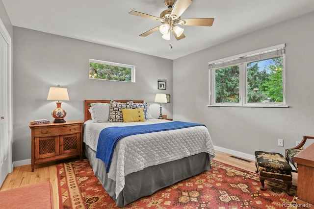 403 Anderson St, Castle Rock, CO 80104 - photo 15