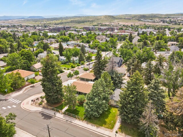 403 Anderson St, Castle Rock, CO 80104 - photo 43