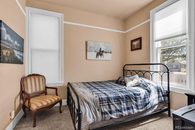 104 S 3rd St, Westcliffe, CO 81252 - photo 19