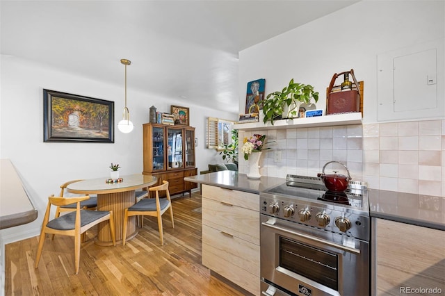1335 Jasmine St, Denver, CO 80220 - kitchen with high end stainless steel range oven, light wood-style flooring, modern cabinets, tasteful backsplash, and pendant lighting