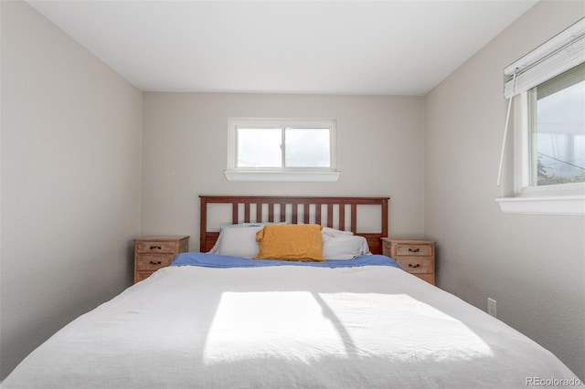 3841 W Quinn Pl, Denver, CO 80236 - bedroom featuring multiple windows