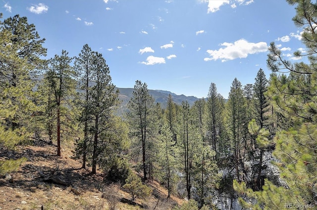 18610 Morrison Creek Cir, Buena Vista, CO 81211 - photo 44