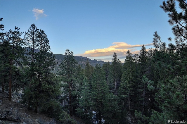 18610 Morrison Creek Cir, Buena Vista, CO 81211 - photo 46