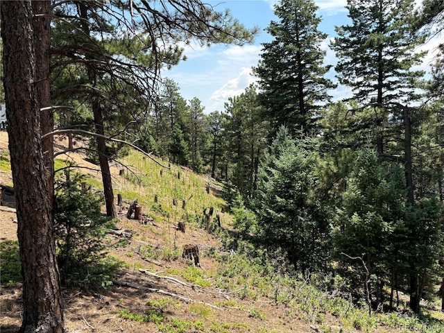 2288 Badger Dr, Larkspur, CO 80118