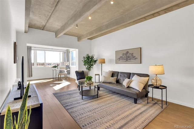 living room with baseboards and wood finished floors