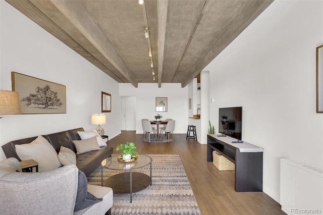 living area featuring wood finished floors and track lighting