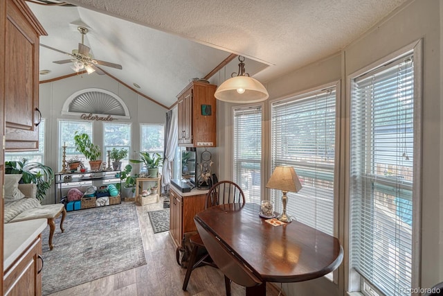 10795 County Road 197a Unit 184, Nathrop, CO 81236 - dining room with a ceiling fan, light wood finished floors, vaulted ceiling, and a textured ceiling