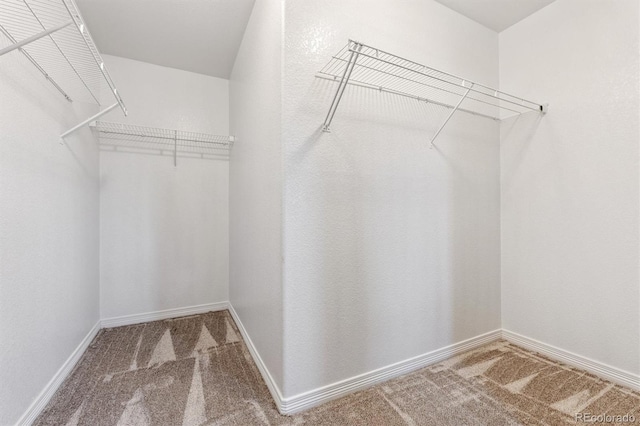 5210 Mountaineer Dr, Windsor, CO 80550 - photo 20