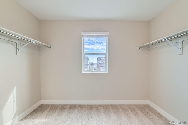 38 Morgan Cir, Erie, CO 80516 - spacious closet with carpet