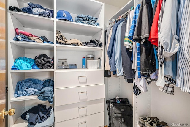 9640 Moss Rose Cir, Highlands Ranch, CO 80129 - view of walk in closet