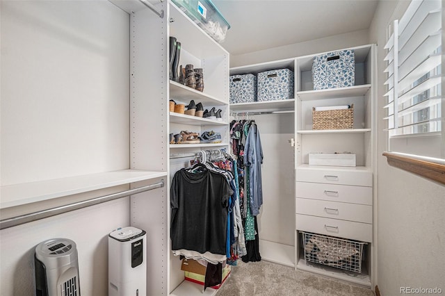 9640 Moss Rose Cir, Highlands Ranch, CO 80129 - spacious closet featuring carpet flooring