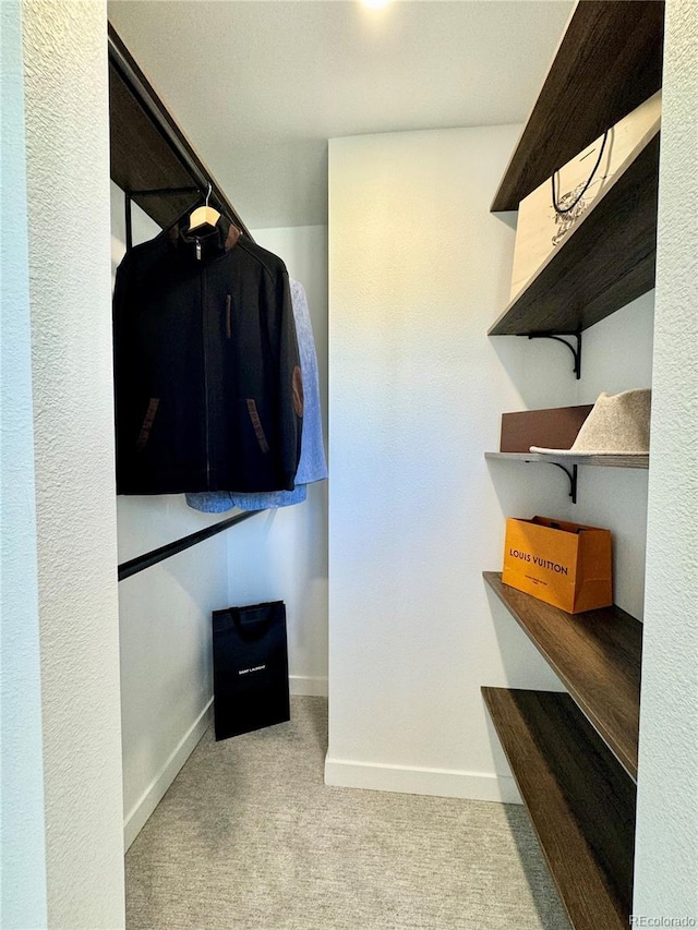 spacious closet with light colored carpet