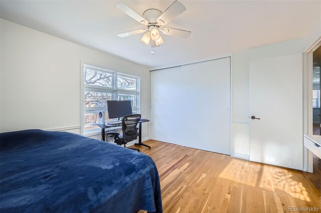 bedroom with ceiling fan and light hardwood / wood-style floors