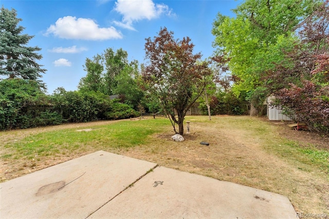 1534 Mount Evans Dr, Longmont, CO 80504 - photo 4