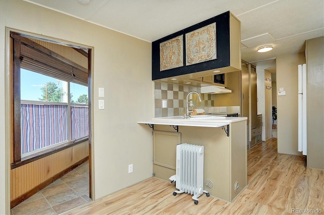 10795 County Road 197a Unit 6, Nathrop, CO 81236 - kitchen with radiator, light wood-type flooring, light countertops, under cabinet range hood, and tasteful backsplash