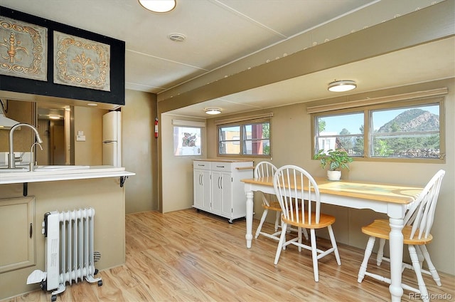 10795 County Road 197a Unit 6, Nathrop, CO 81236 - dining area featuring radiator and light wood-style flooring